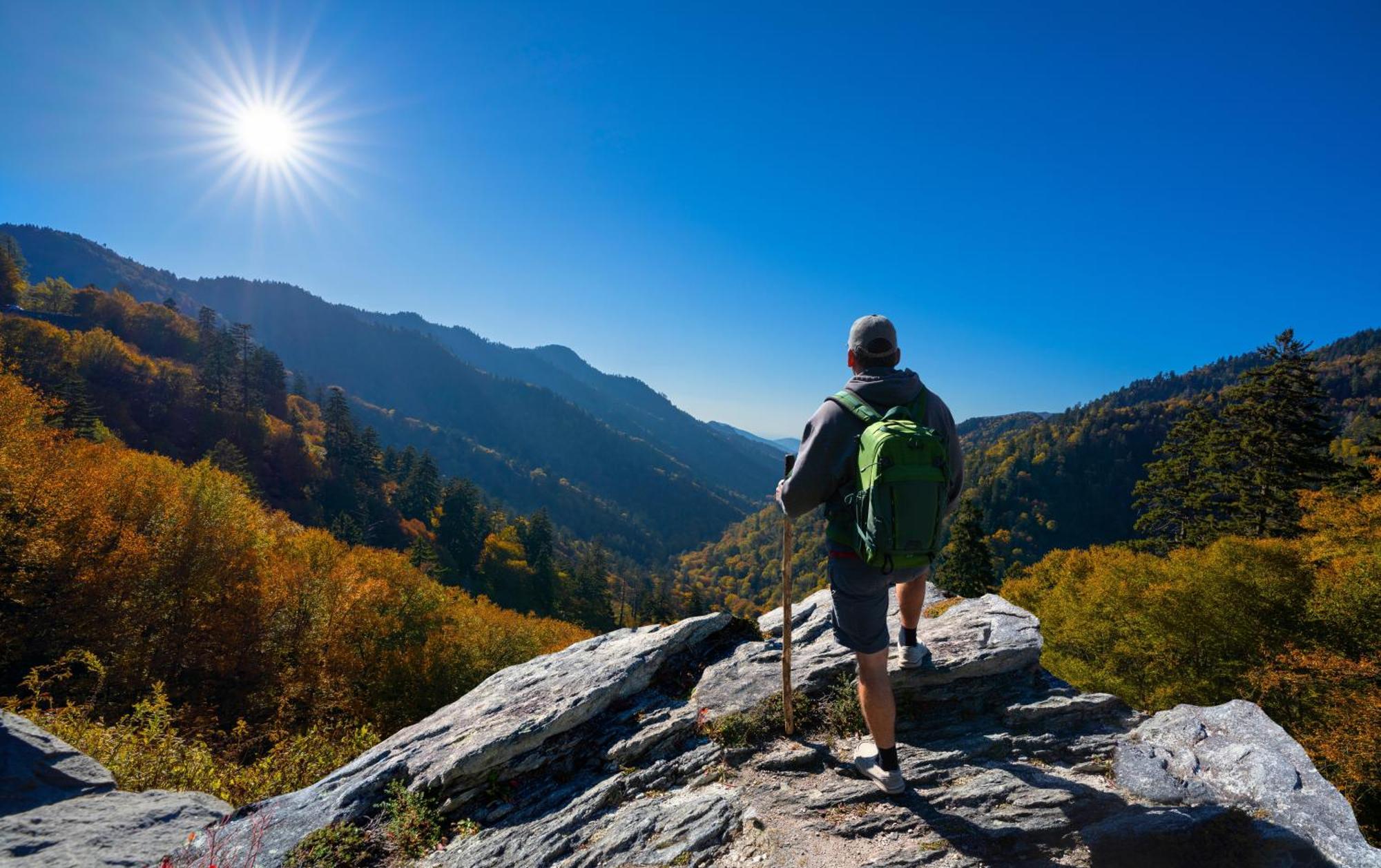 Her Majesty'S Way, Awesome Mtn Views, 1089 Free Tickets Each Paid Day, Dollywood And More Gatlinburg Eksteriør billede