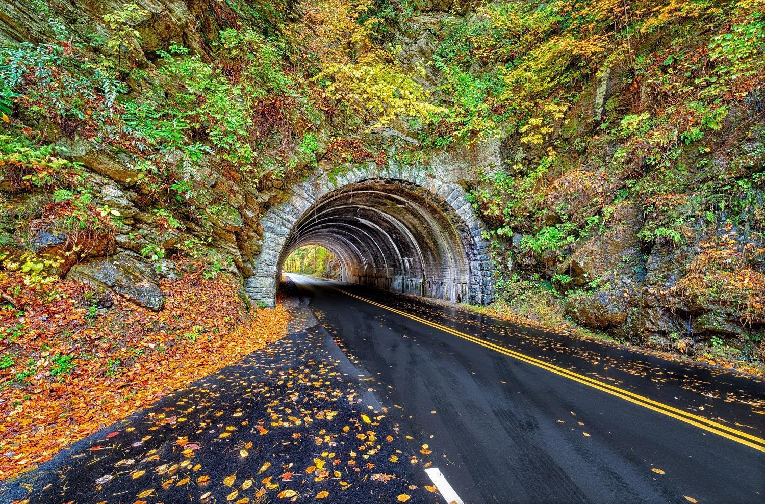 Her Majesty'S Way, Awesome Mtn Views, 1089 Free Tickets Each Paid Day, Dollywood And More Gatlinburg Eksteriør billede