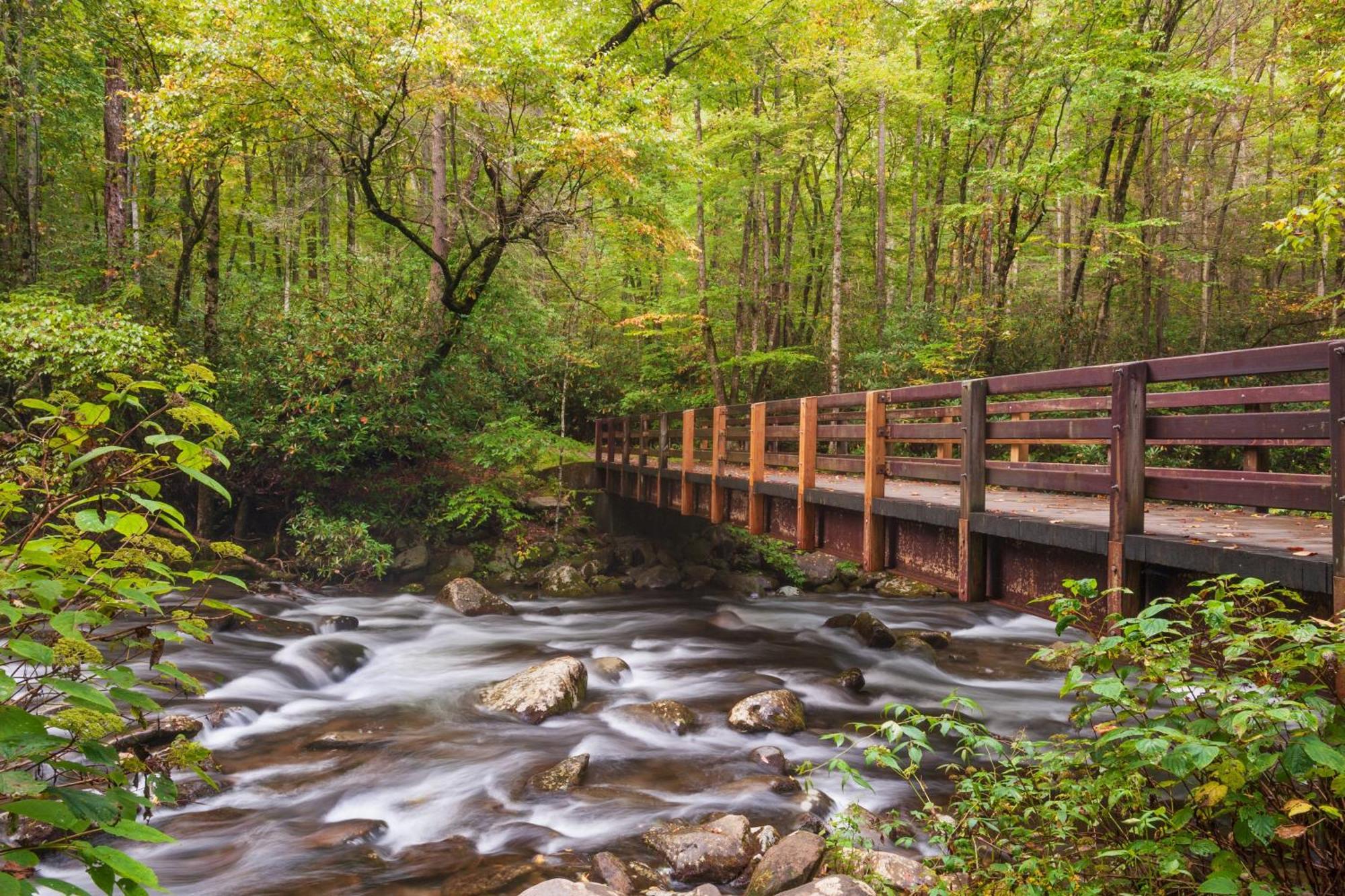 Her Majesty'S Way, Awesome Mtn Views, 1089 Free Tickets Each Paid Day, Dollywood And More Gatlinburg Eksteriør billede